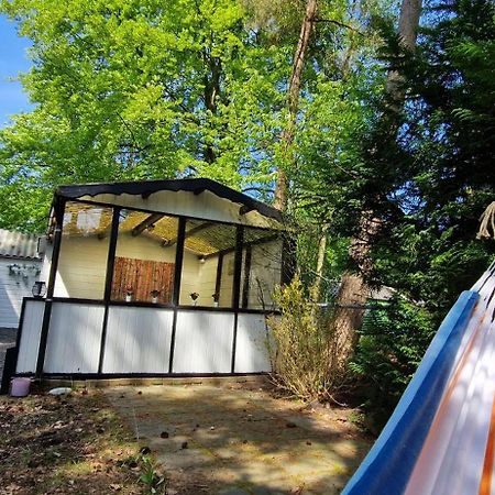 "Dennenhuisje" Op Bospark Ijsselheide Hattemerbroek Zewnętrze zdjęcie