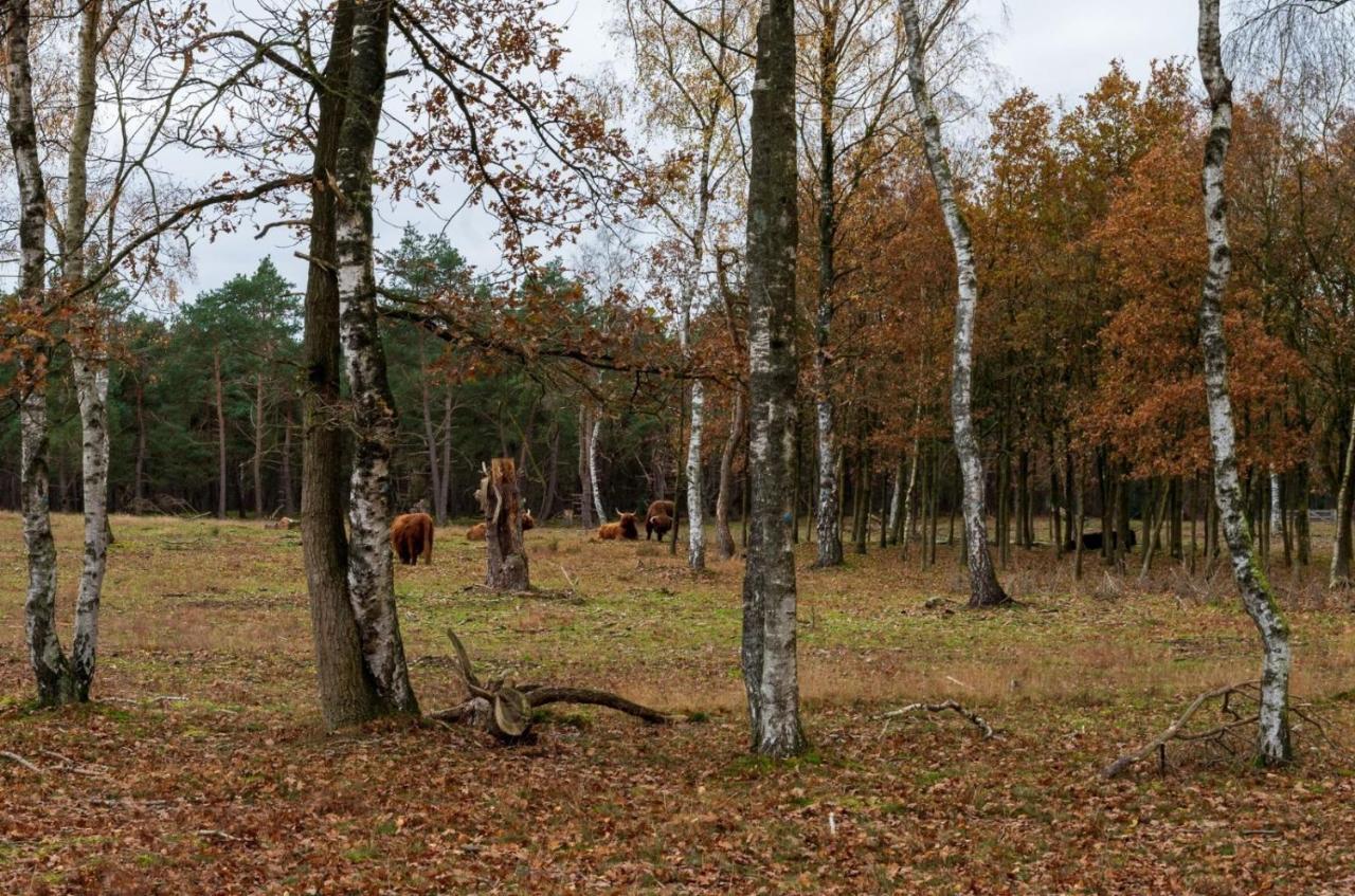 "Dennenhuisje" Op Bospark Ijsselheide Hattemerbroek Zewnętrze zdjęcie