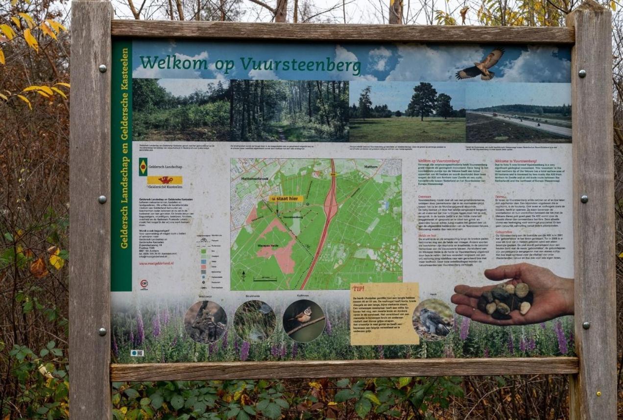 "Dennenhuisje" Op Bospark Ijsselheide Hattemerbroek Zewnętrze zdjęcie