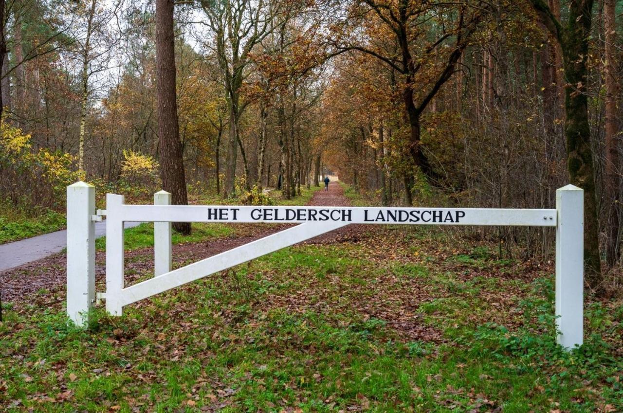 "Dennenhuisje" Op Bospark Ijsselheide Hattemerbroek Zewnętrze zdjęcie